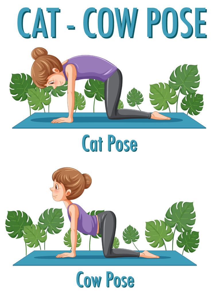 Exercise in Pregnancy: Cat and Crow pose